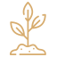 agr-icon-seed-prod agr-icon-seed-prod
